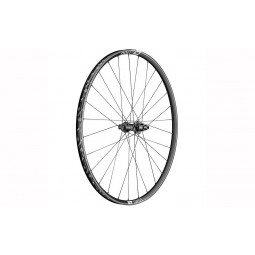 Ratas galinis 29" DT Swiss XR1700 Spline