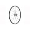 Ratas galinis 29" DT Swiss XR1700 Spline